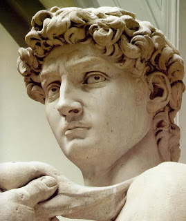 michelangelo_david_head