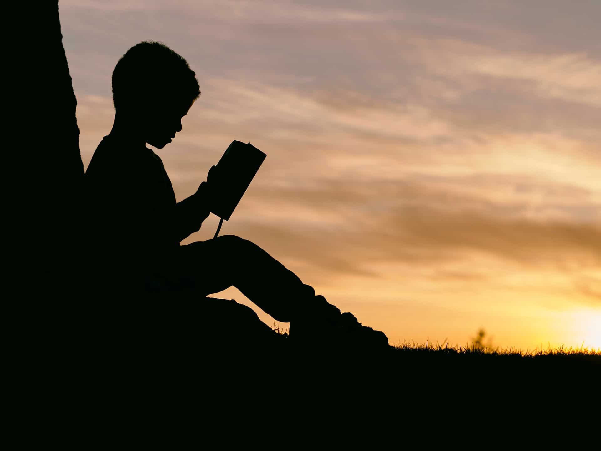 silhouette of boy reading in sunset